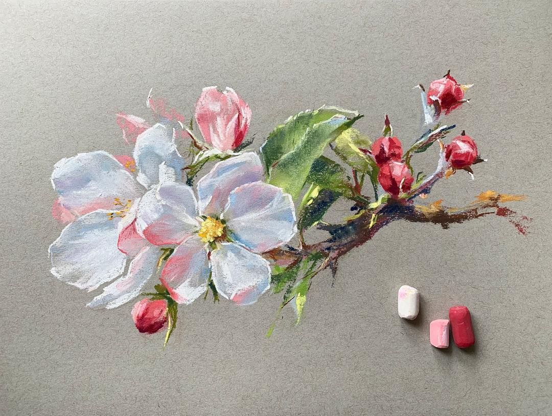 Советы для начинающих пастелистов фото